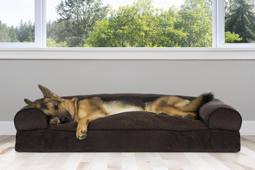 Reasons you need to choose Woven Pet bed