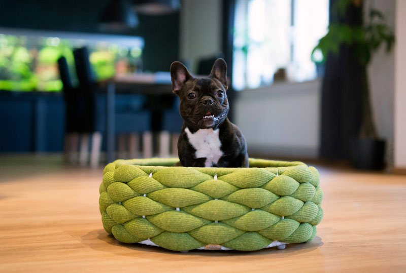 woven dog bed